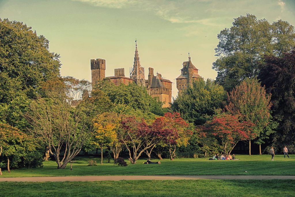 parque bute-cardiff-tuviajedegrupo